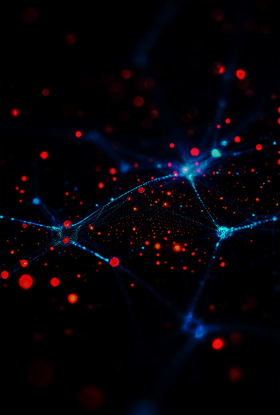 CMS Detector Tool by Exclusive Tech