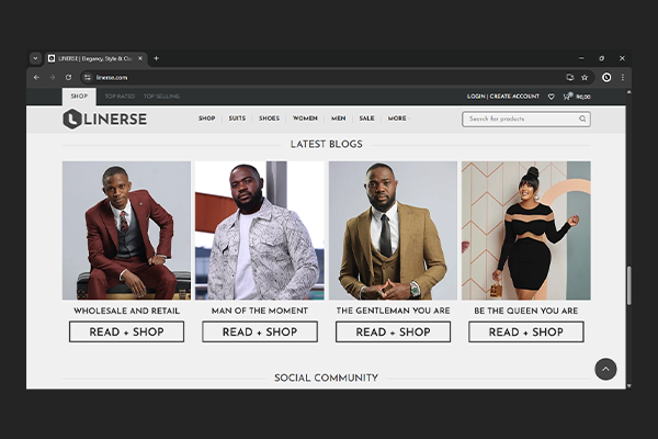 Linerse Website Project by Exclusive Tech